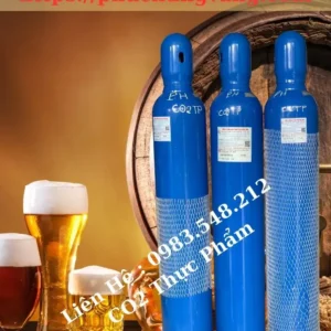 Bình Khí Co2 14 Lít - Dùng Tạo Ga Bia Nước Ngọt 10 CO2 beers