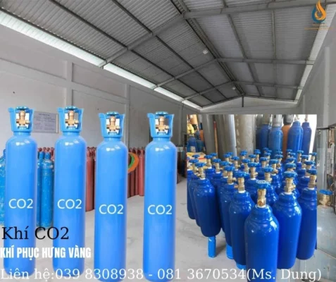 Giá Chai Khí CO2