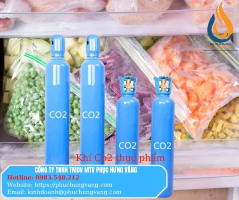 CO2 THỰC PHẨM