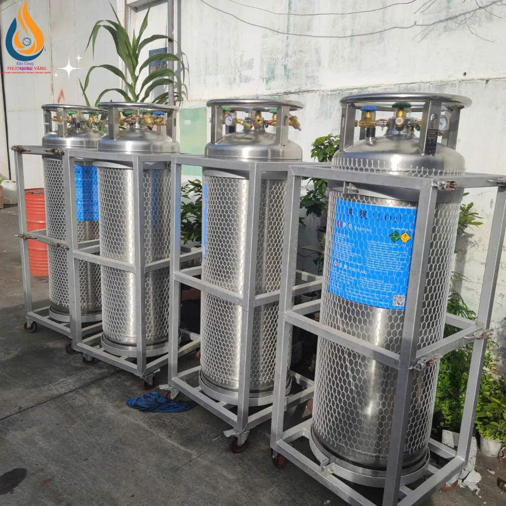 Bình CO2 Lỏng XL 45-175 Lít - Ảnh 8